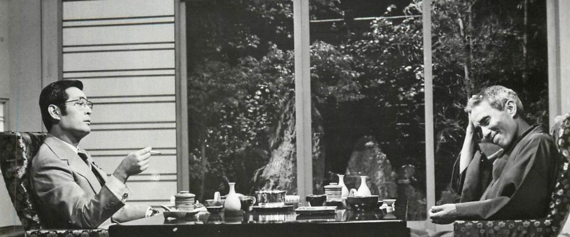 Solar Eclipse backdrop