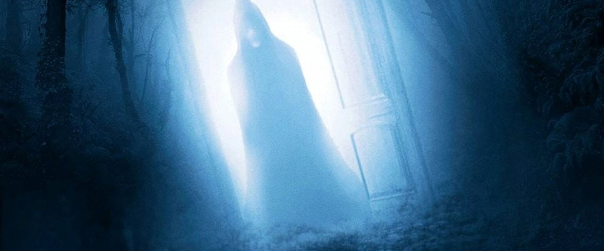 Door in the Woods backdrop