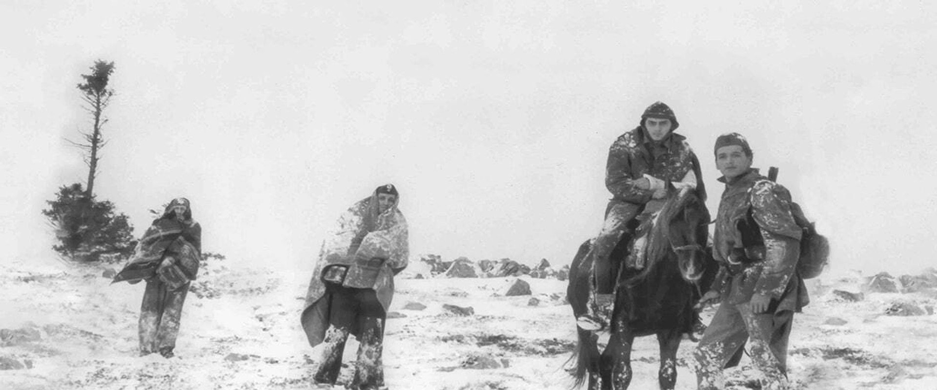 Looking Into the Eyes of the Sun backdrop