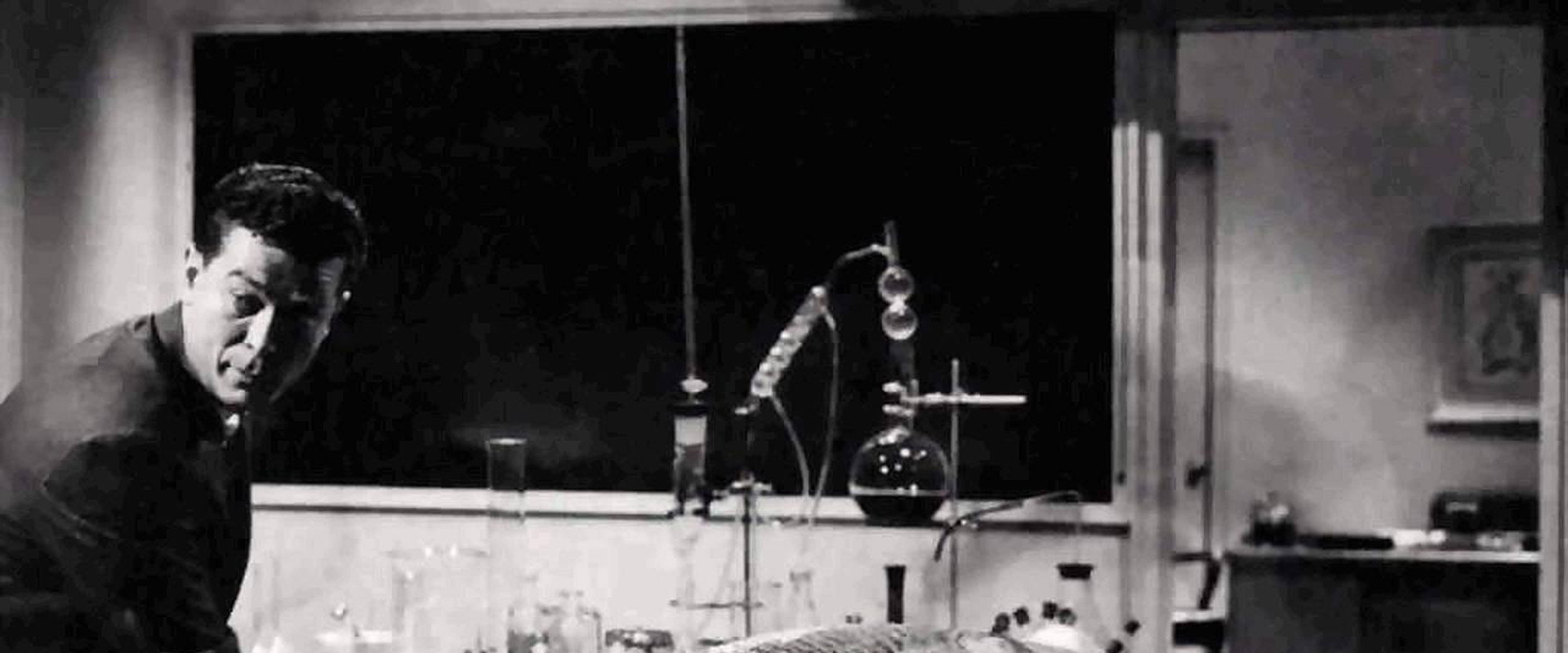 Monster on the Campus backdrop