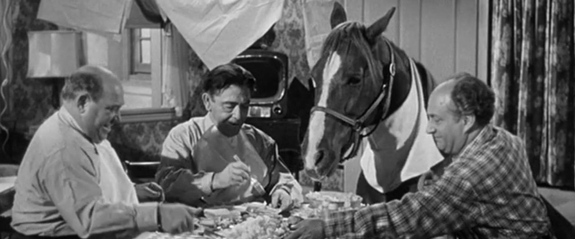 Horsing Around backdrop