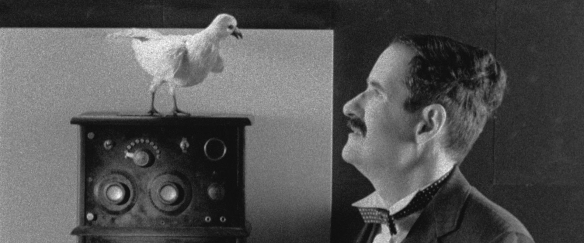 The Tesla World Light backdrop