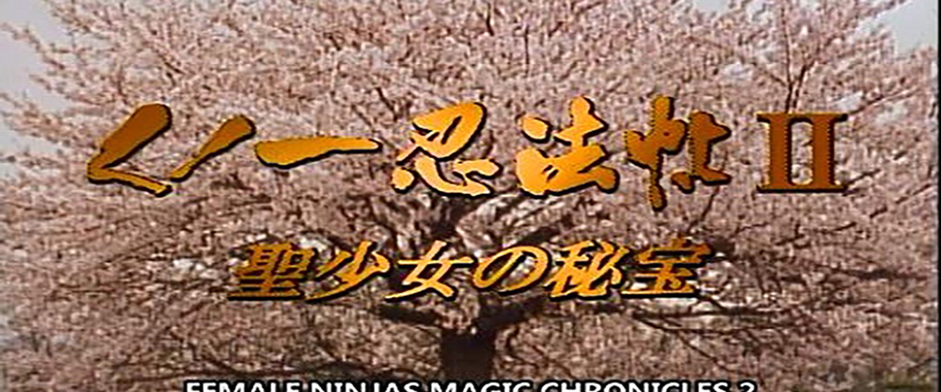 Female Ninjas Magic Chronicles 2: Secret of the Christian Bells backdrop