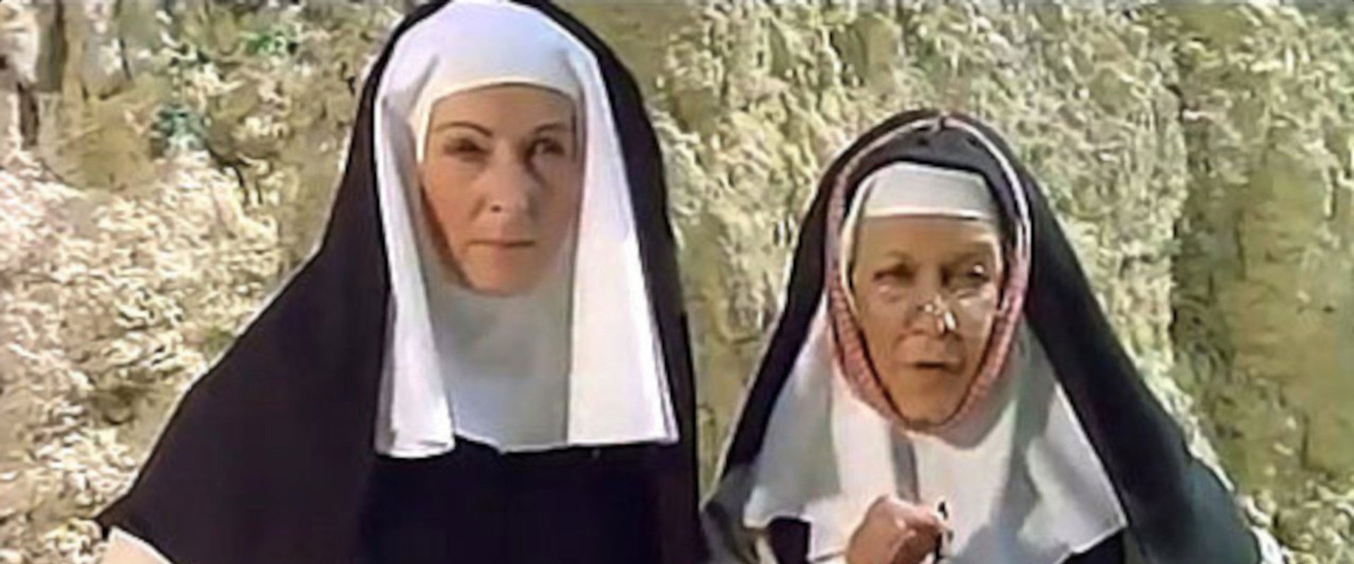 For a Book of Dollars backdrop