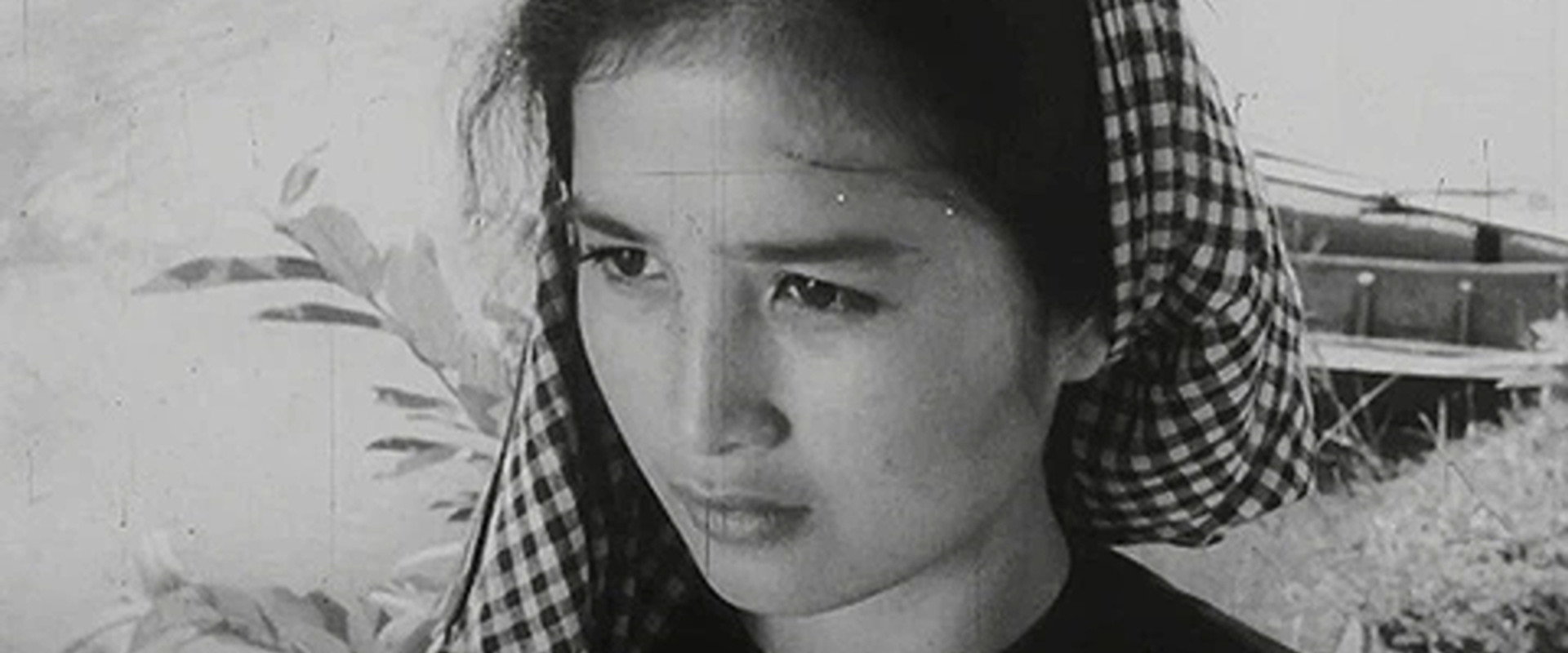 Mrs. Tư Hậu backdrop