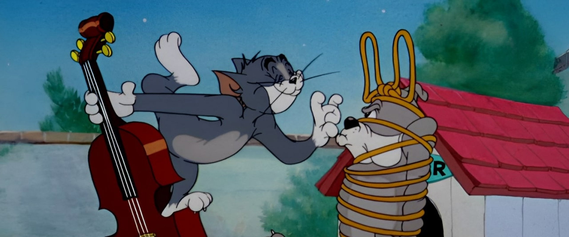 Solid Serenade backdrop