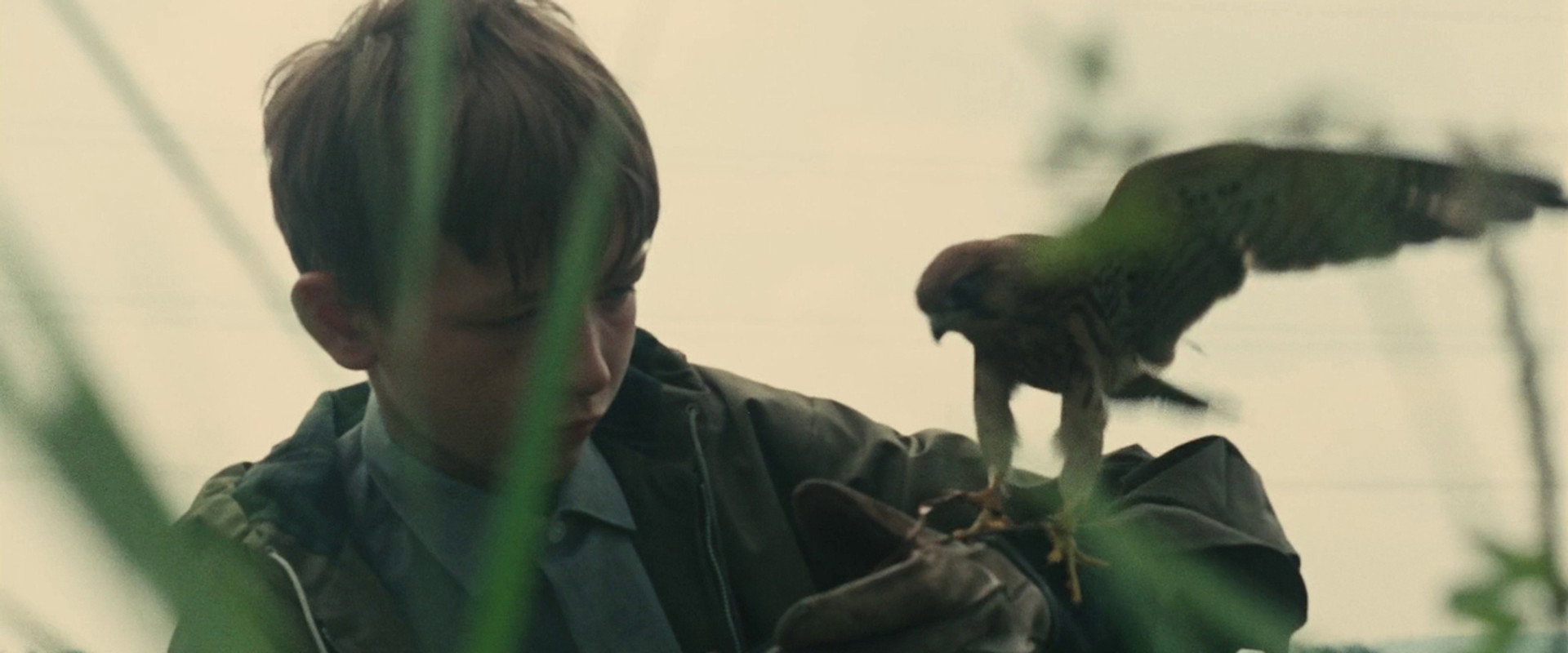 Kes backdrop