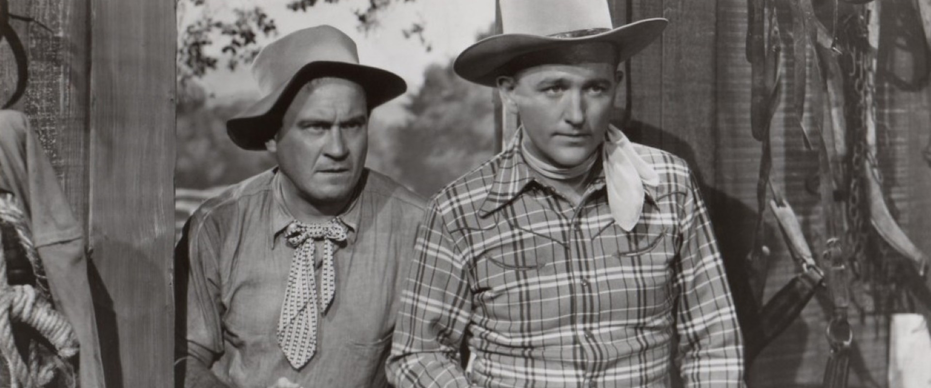 Brand of Fear backdrop