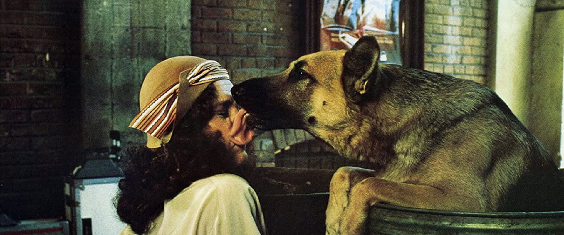 Won Ton Ton: The Dog Who Saved Hollywood backdrop