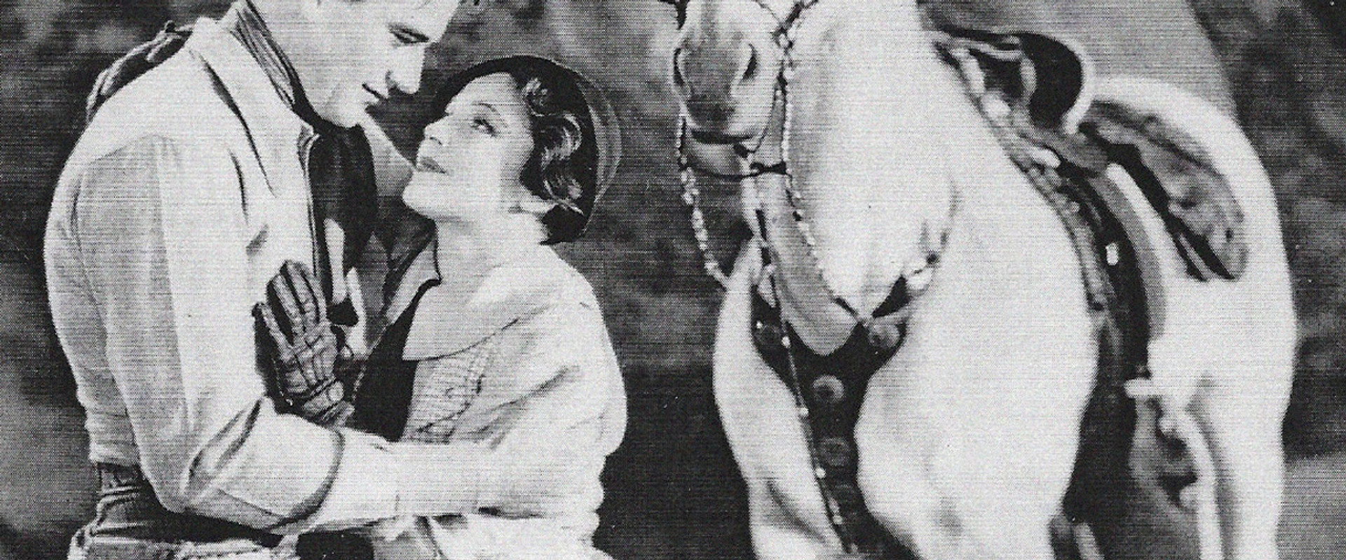 Somewhere in Sonora backdrop