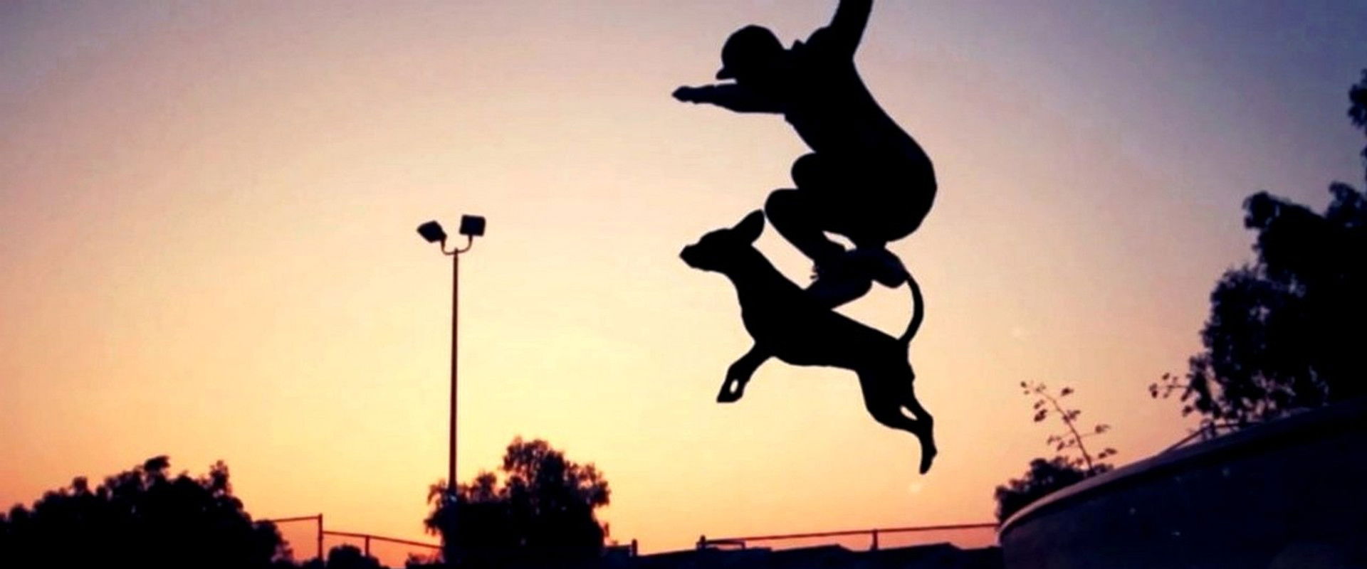 Dogboarding backdrop