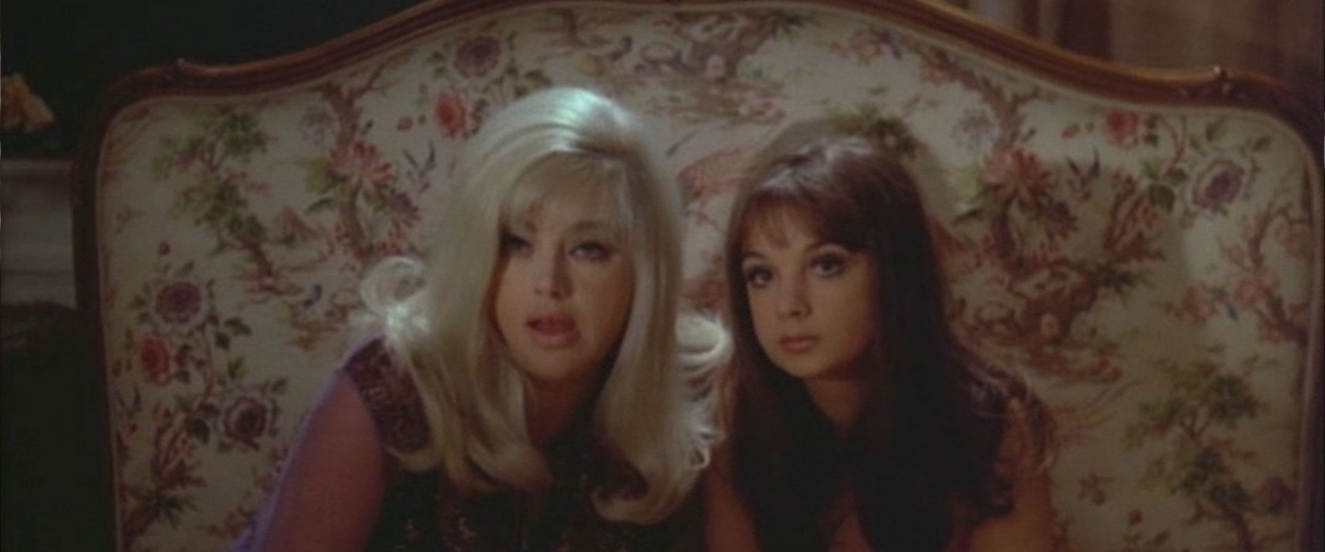 Swedish Wildcats backdrop