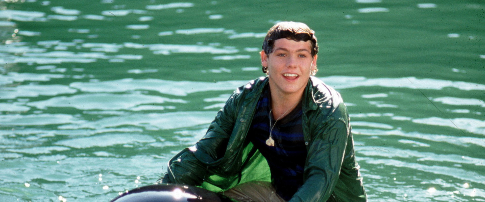 Free Willy 3: The Rescue backdrop