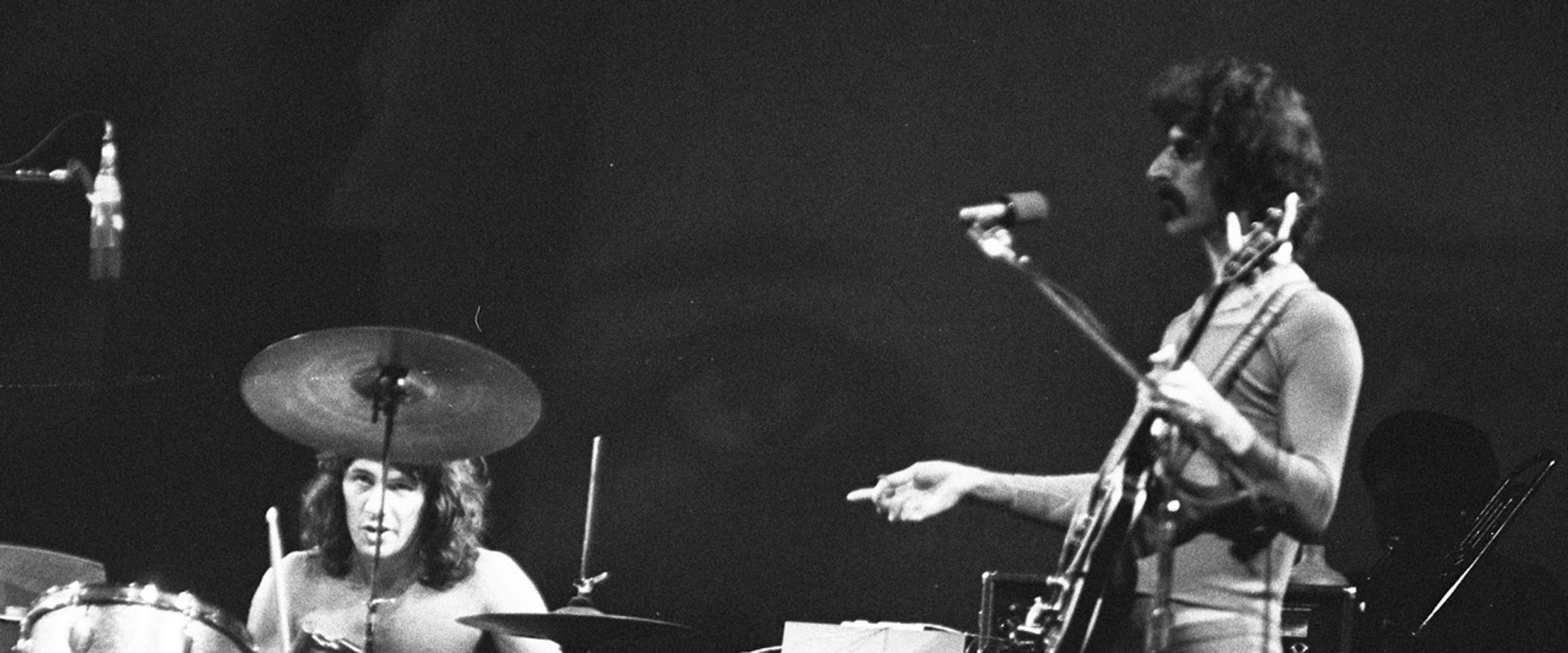 Frank Zappa backdrop