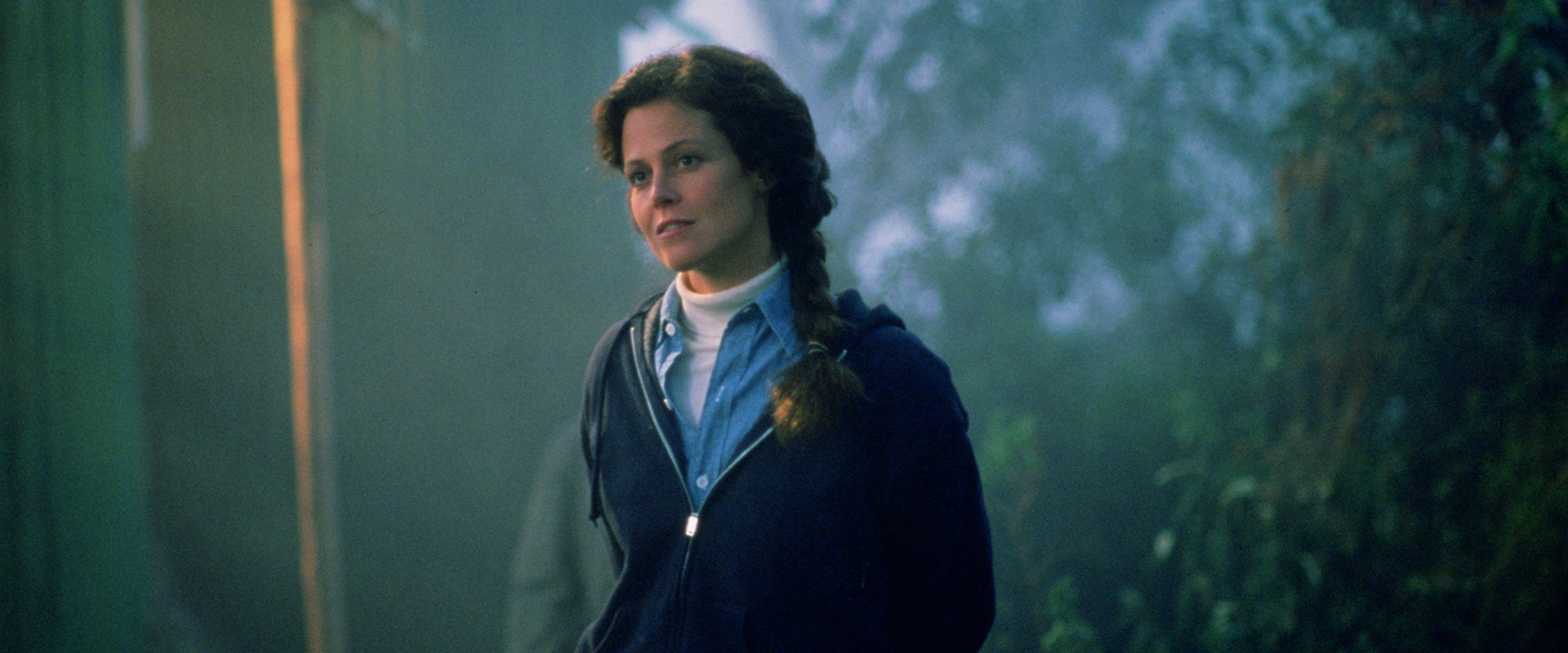 Gorillas in the Mist backdrop