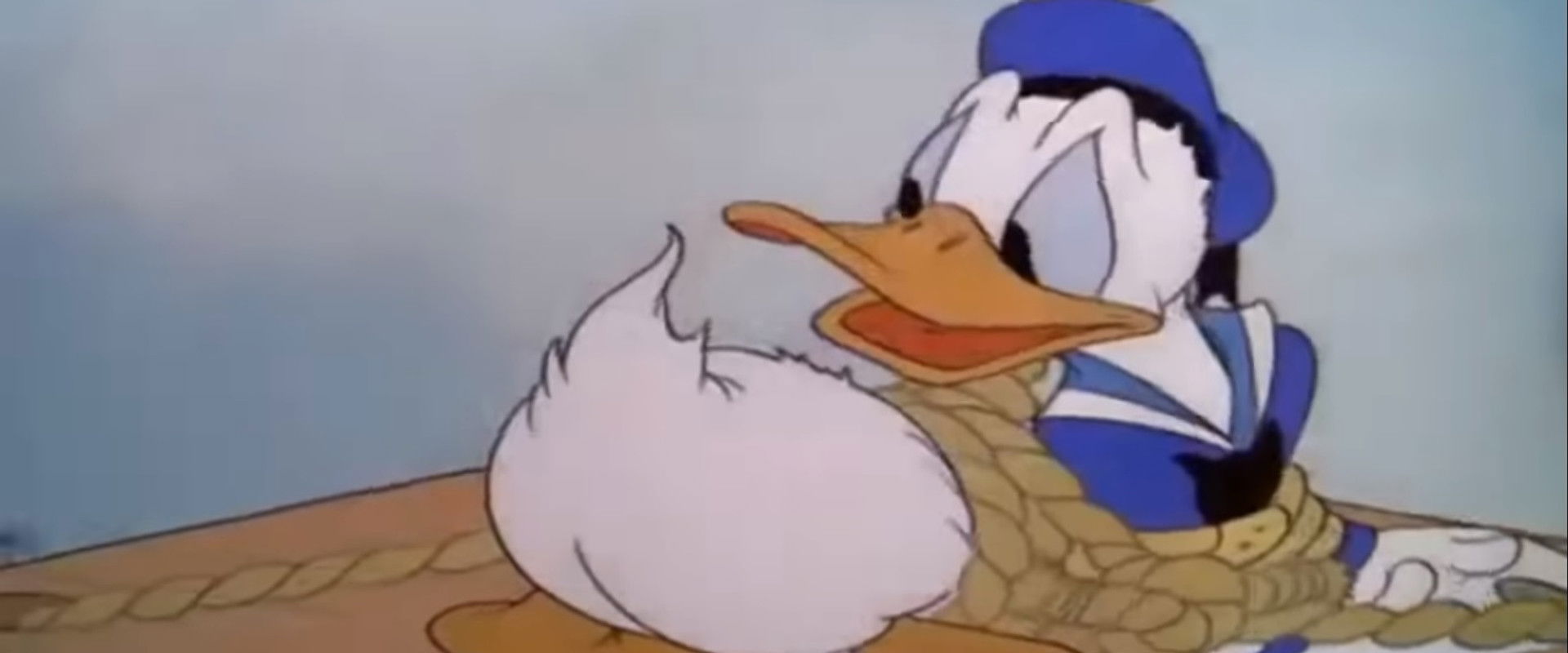 Window Cleaners backdrop