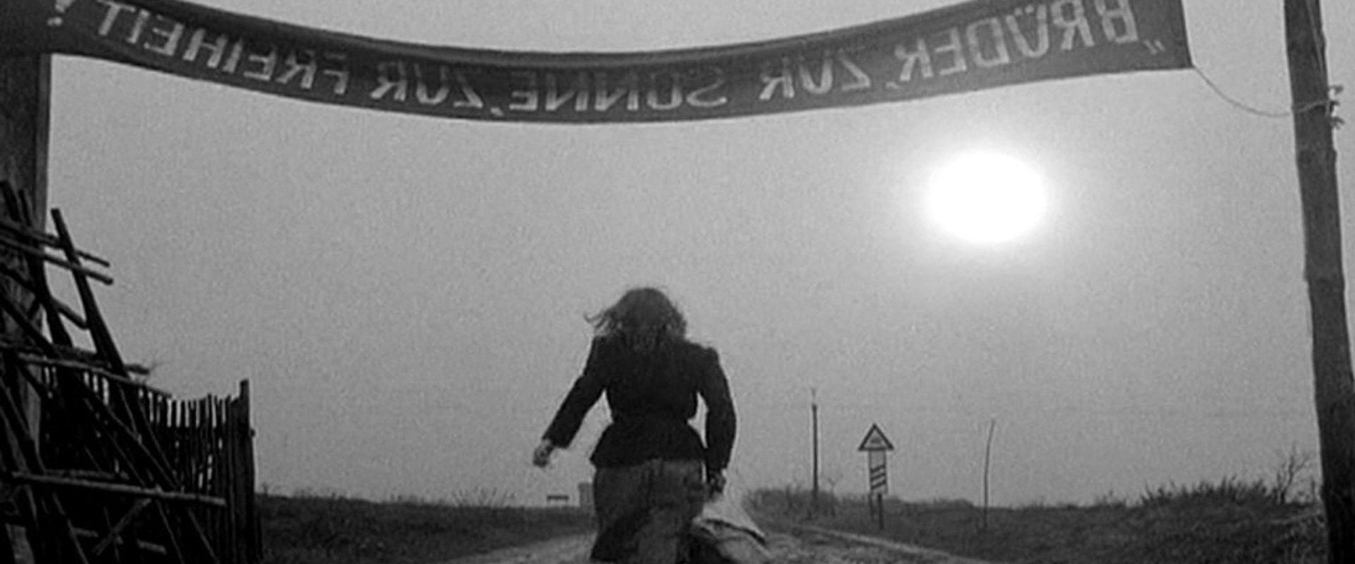 Sun Seekers backdrop