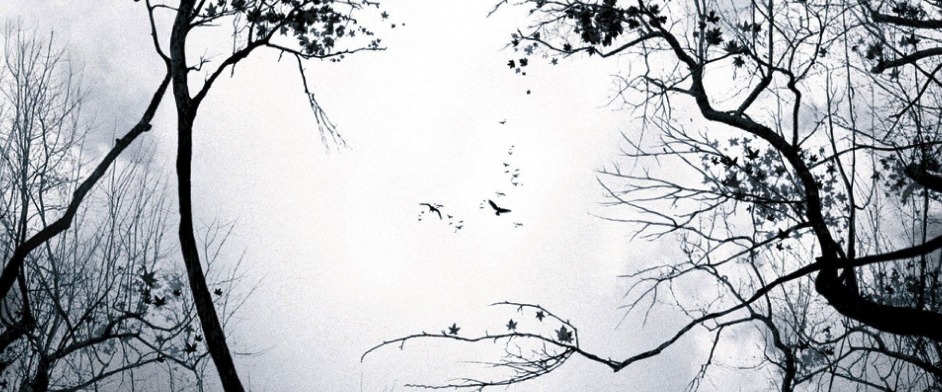 Premonition backdrop