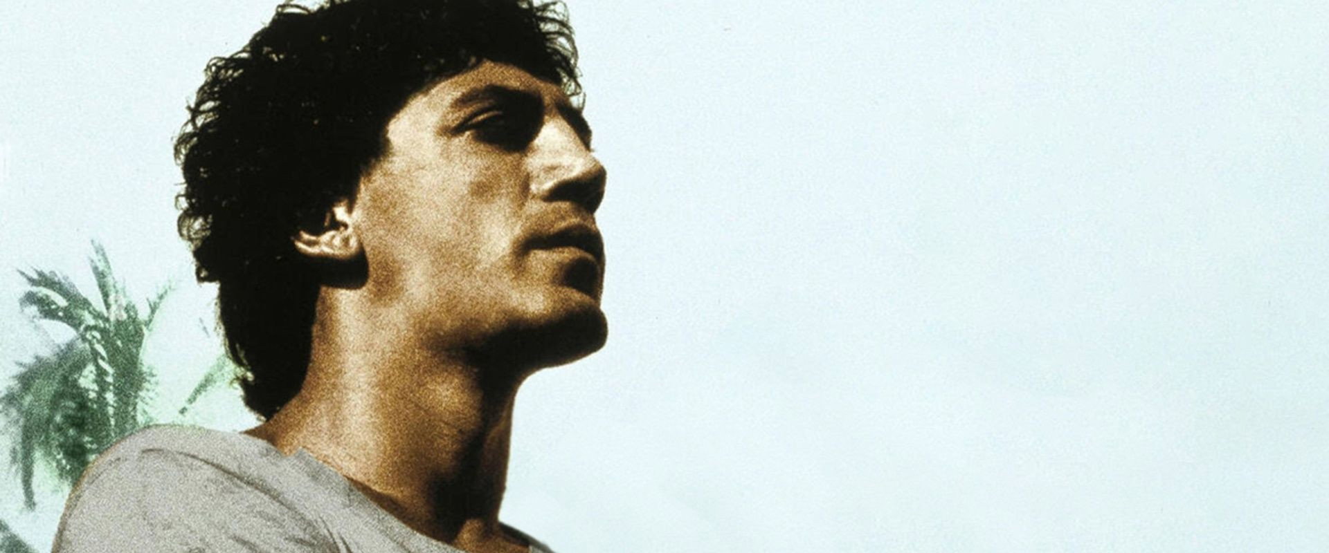 Before Night Falls backdrop