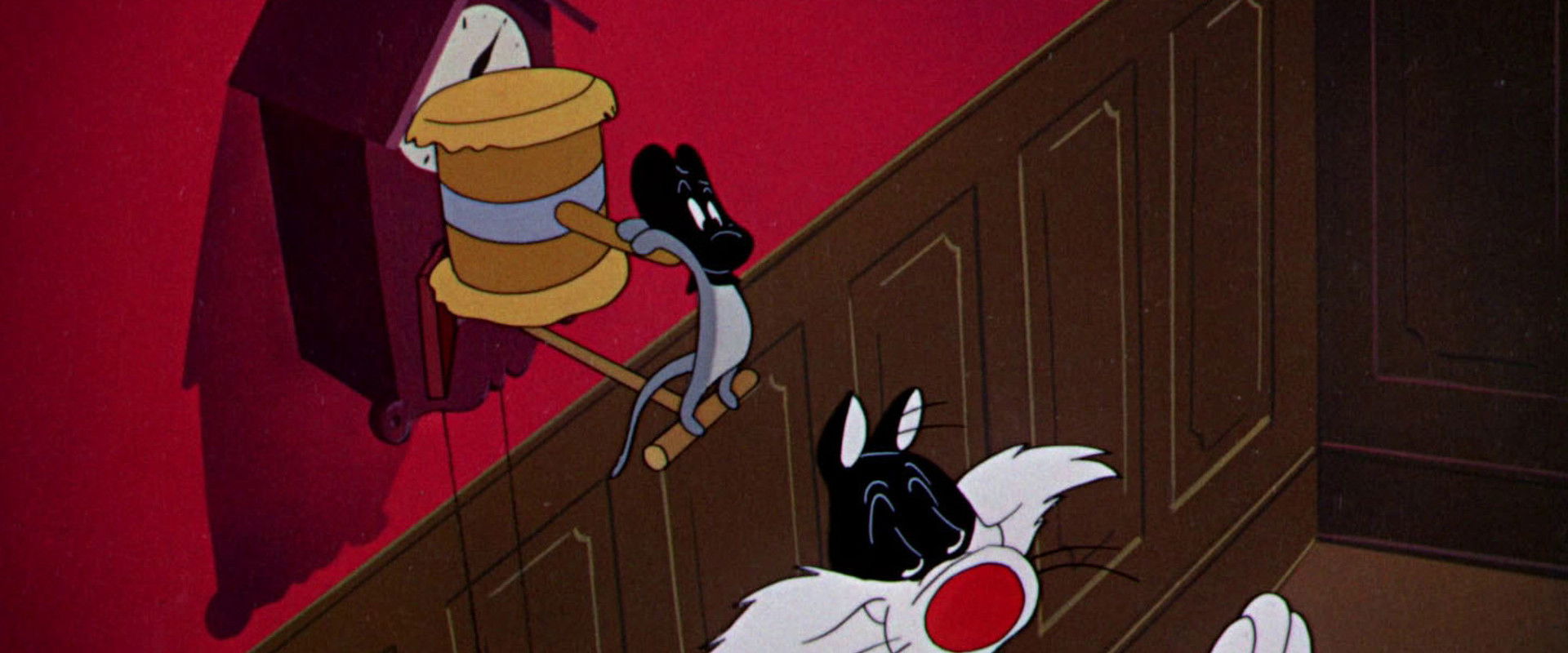 Scaredy Cat backdrop