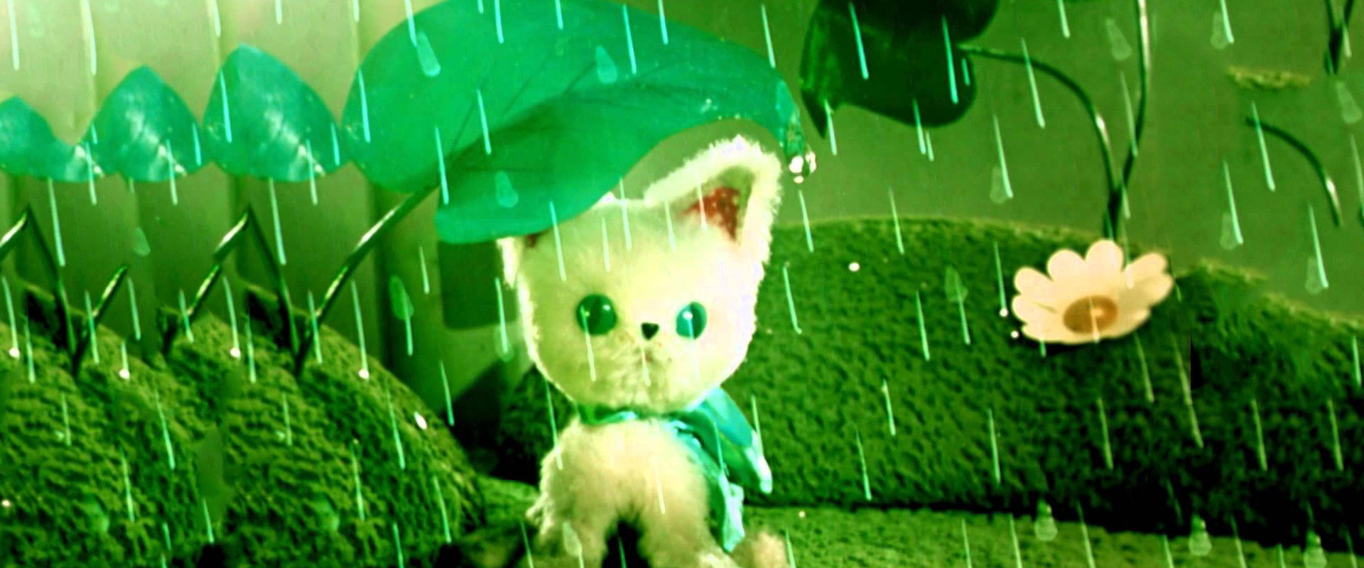 How to Become a Grown-Up backdrop