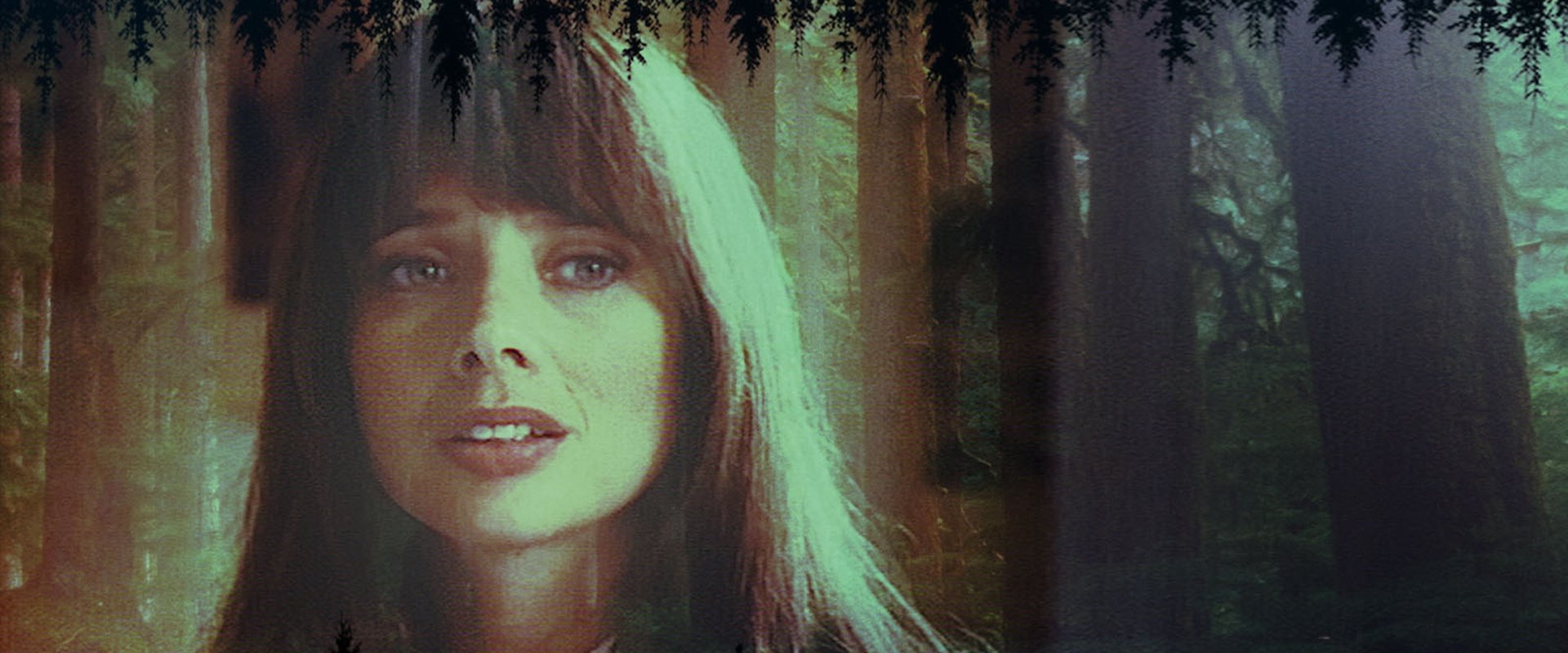 In the Deep Woods backdrop