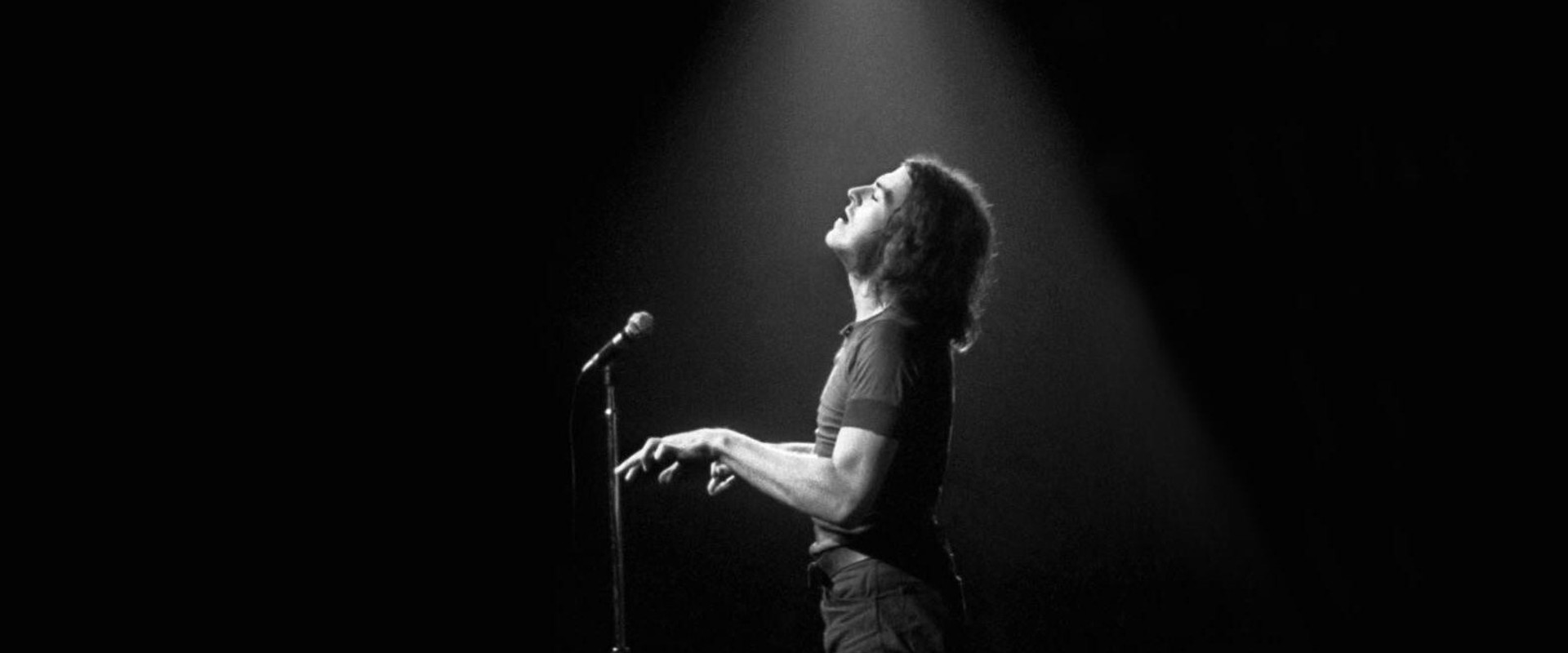 Learning to Live Together: The Return of Mad Dogs & Englishmen backdrop