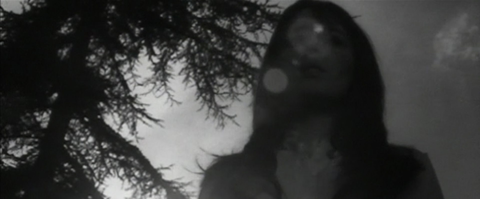 Destroy, She Said backdrop