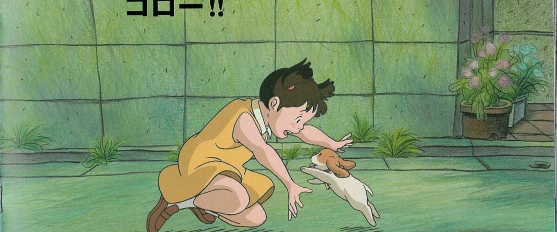 Koro's Big Day Out backdrop