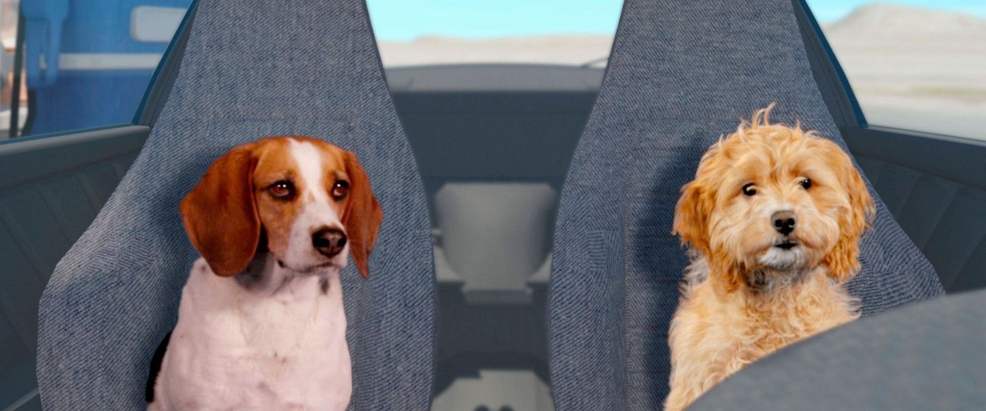 Fast and Furriest backdrop
