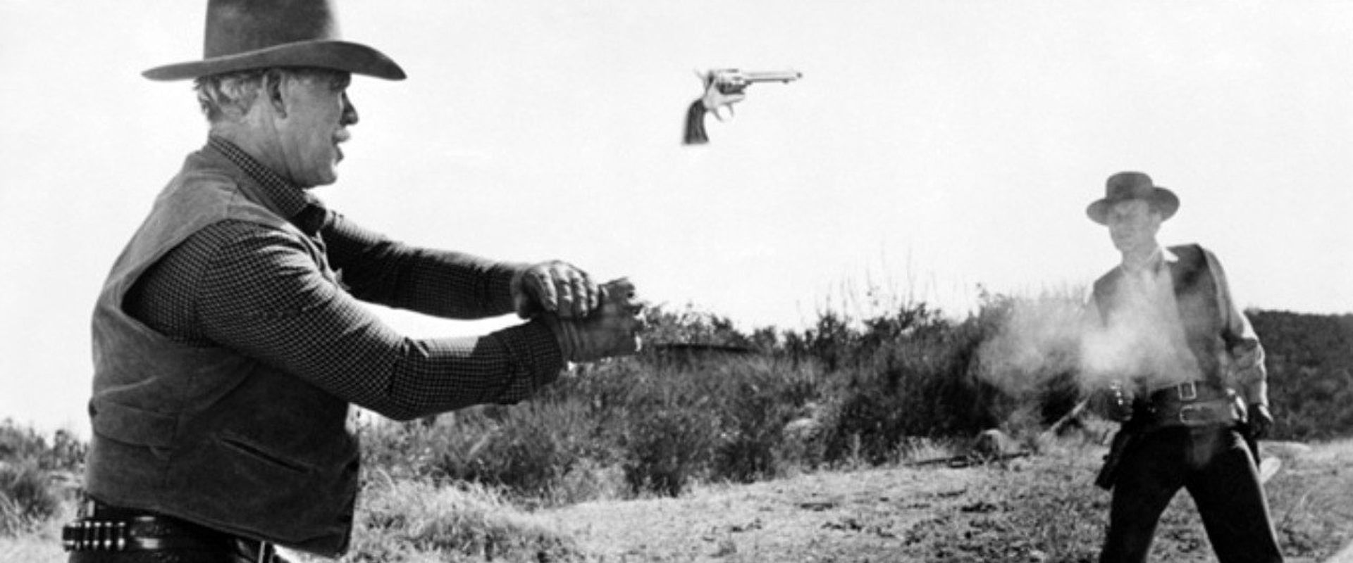 The Halliday Brand backdrop