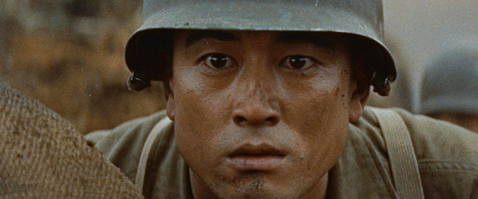 Pineapple Butai backdrop