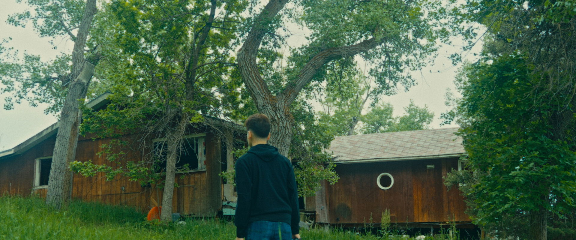 The Bystander backdrop