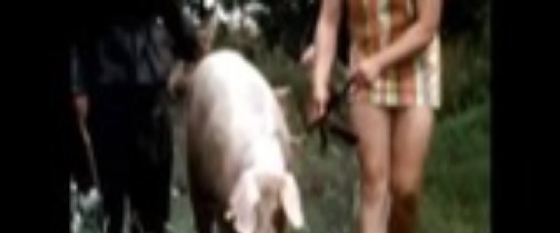 The Dark Side of Porn: The Real Animal Farm backdrop