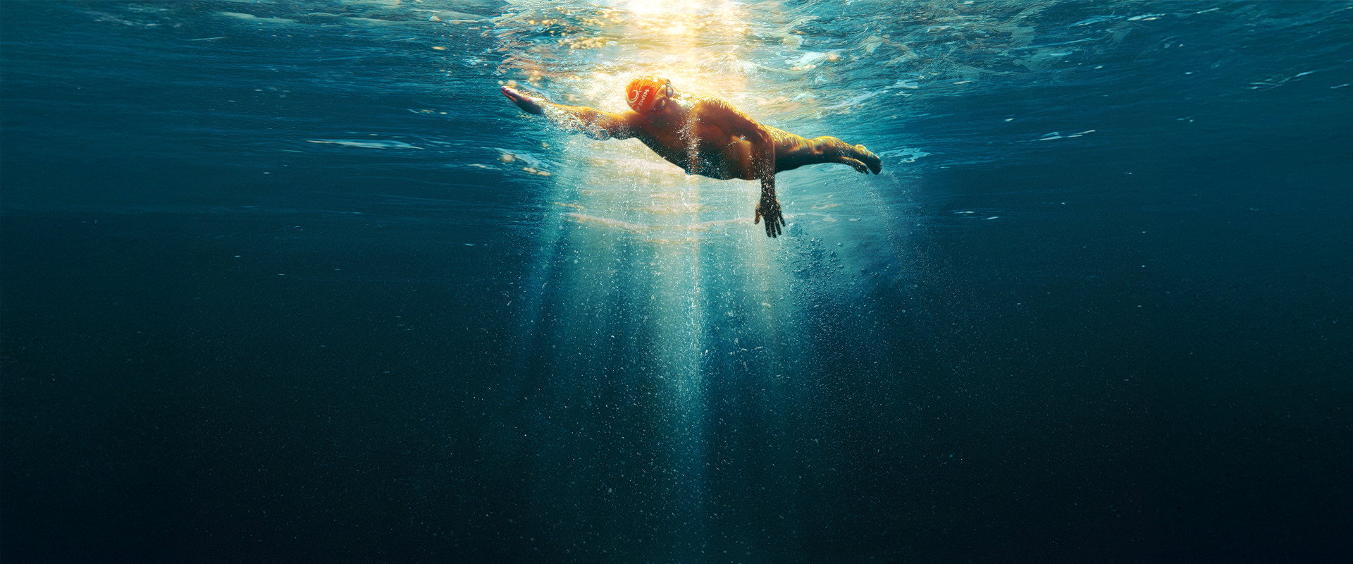 Don't Be Prey backdrop