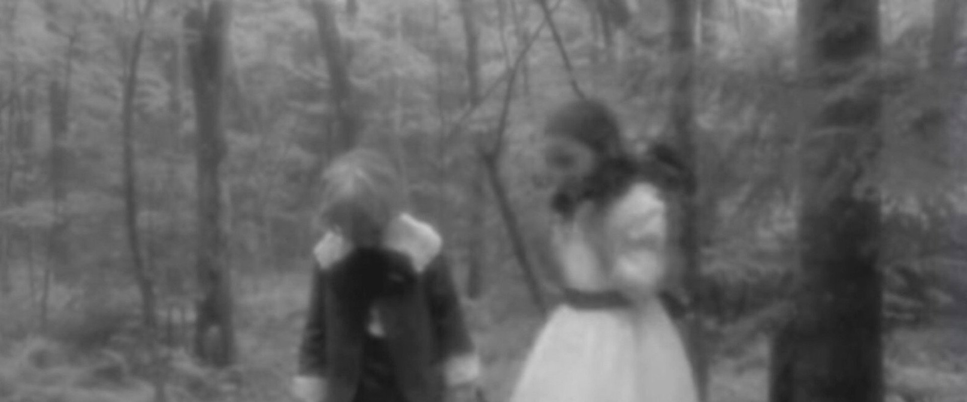 Hansel and Gretel backdrop