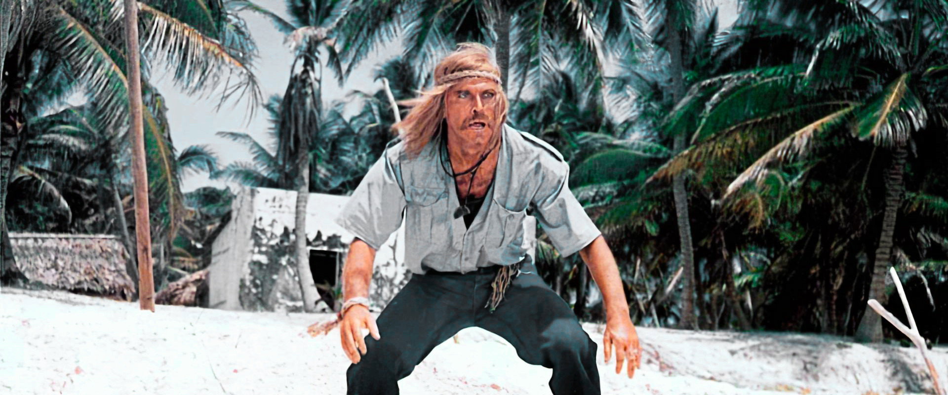 The Shark Hunter backdrop