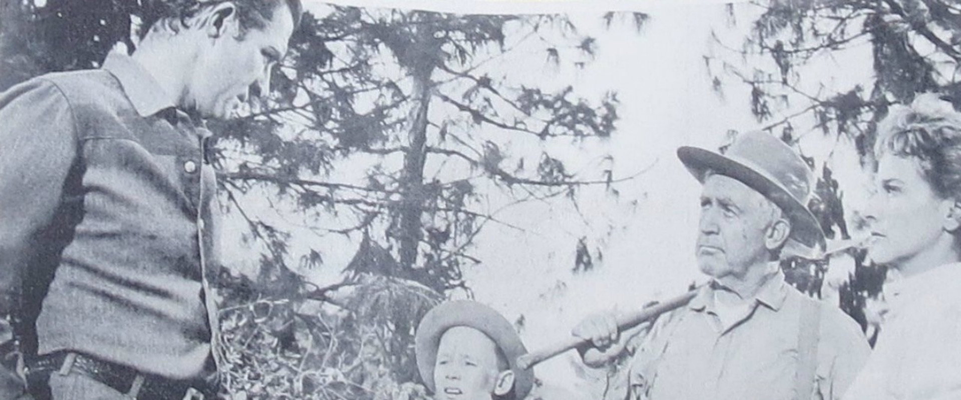 Money, Women and Guns backdrop