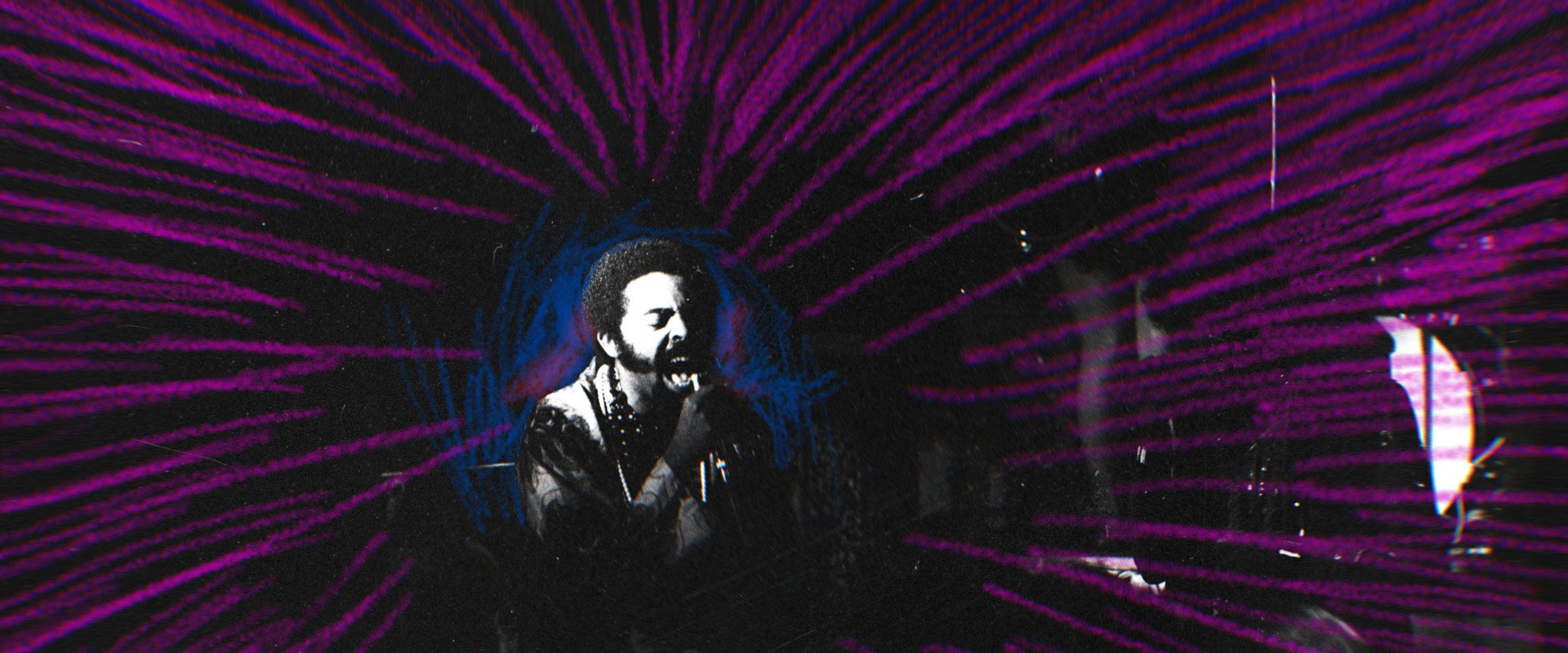 Tropicália backdrop