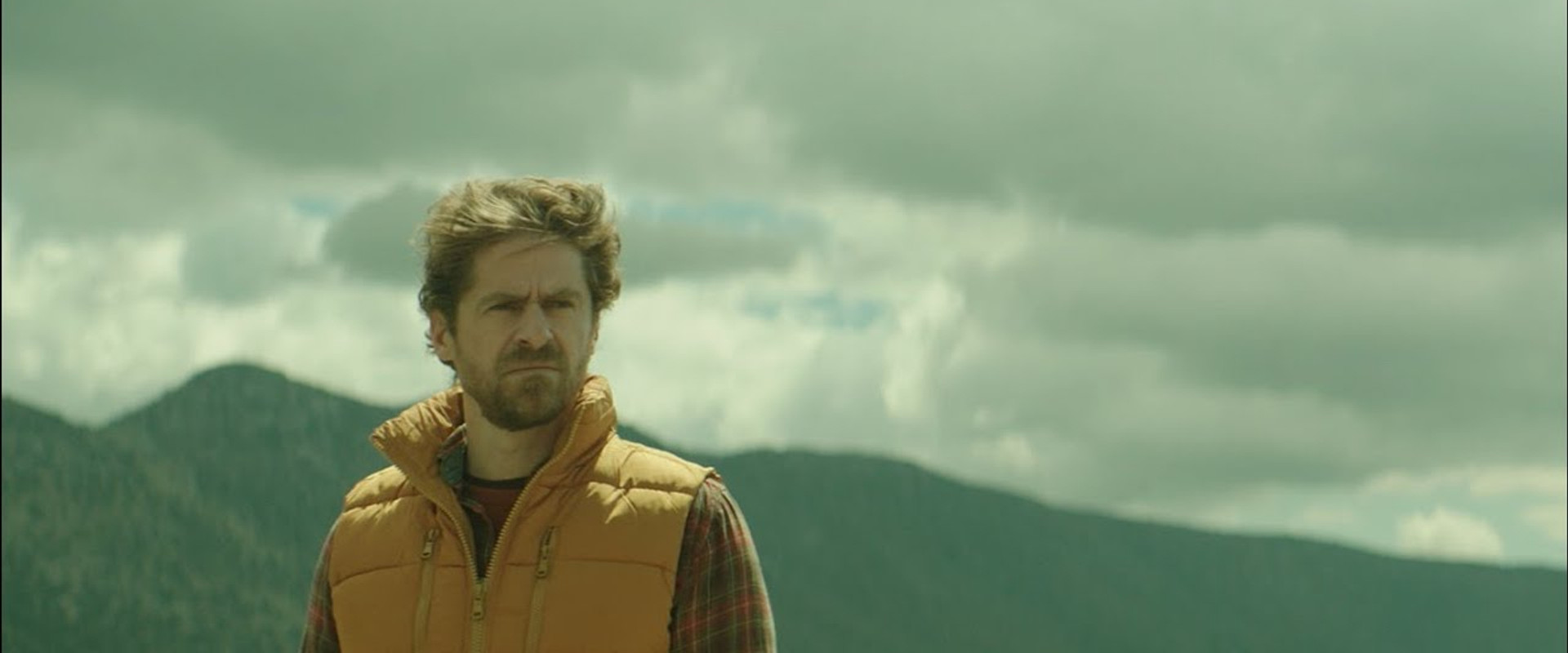 Pack of Sheep backdrop