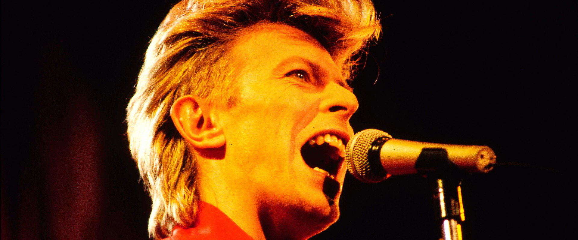 David Bowie: Glass Spider backdrop