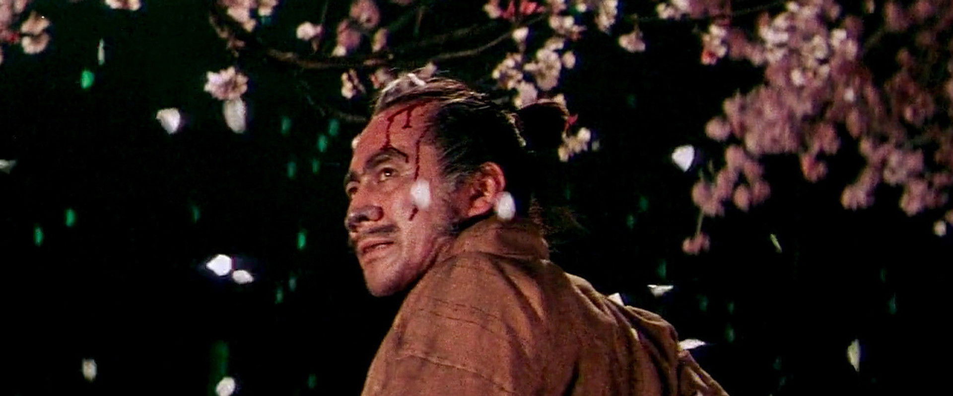 Samurai Saga backdrop