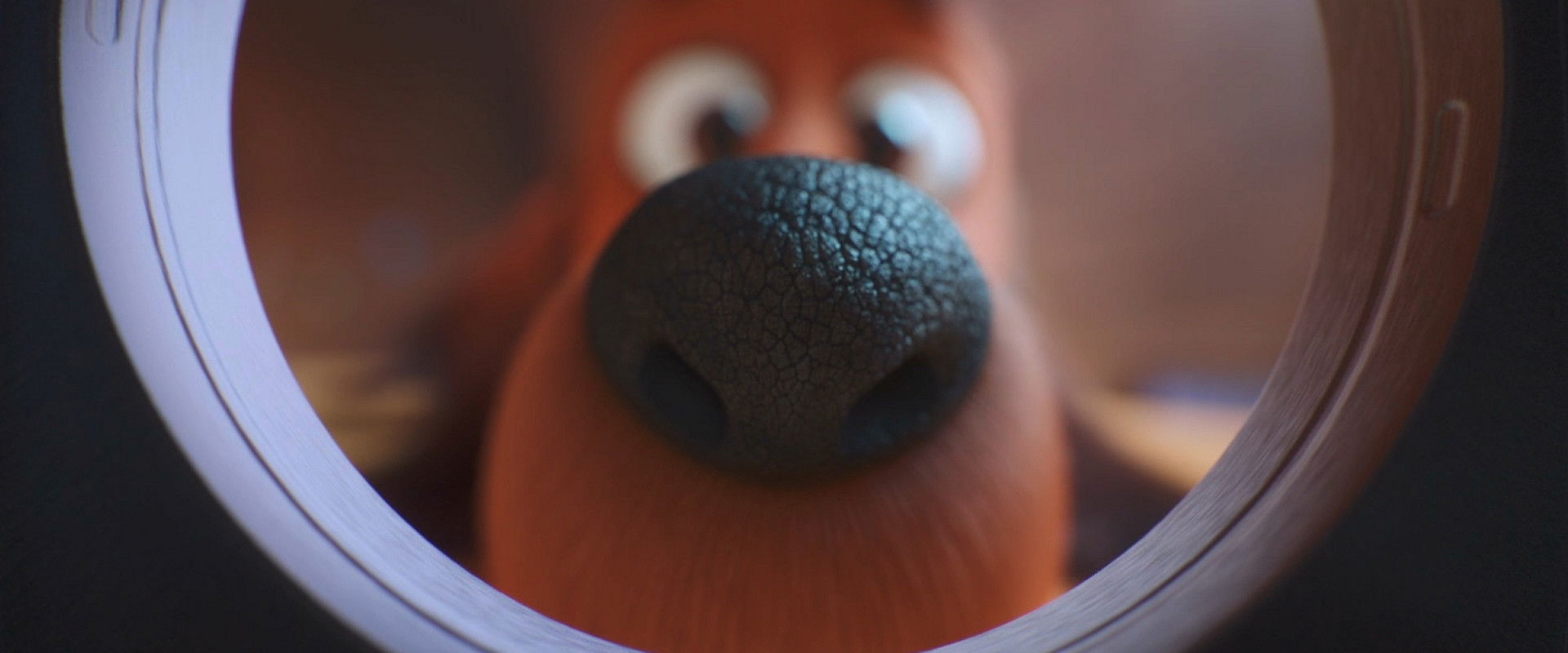 The Dog Days of Winter backdrop