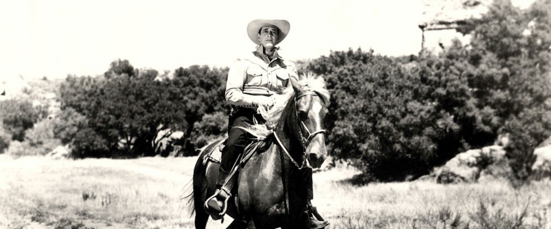 Quick on the Trigger backdrop