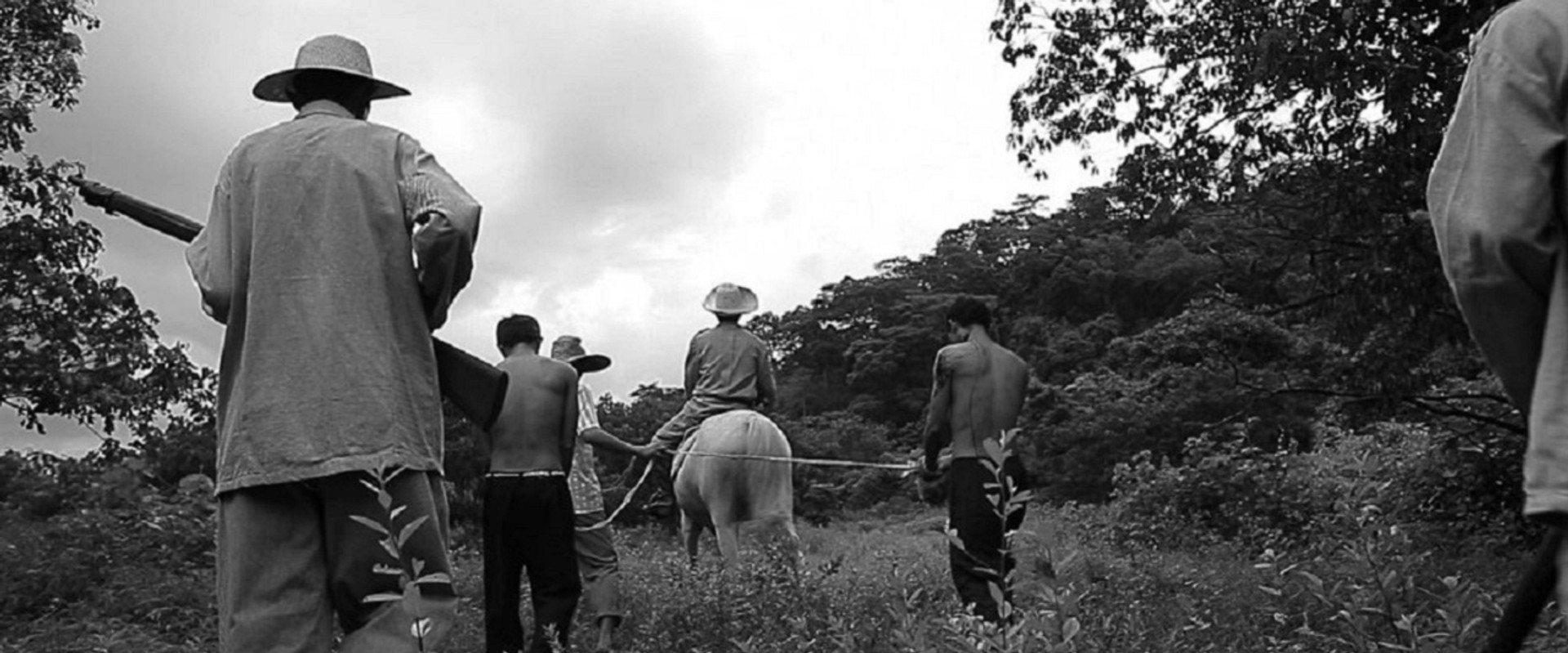 Prologue to the Great Desaparecido backdrop