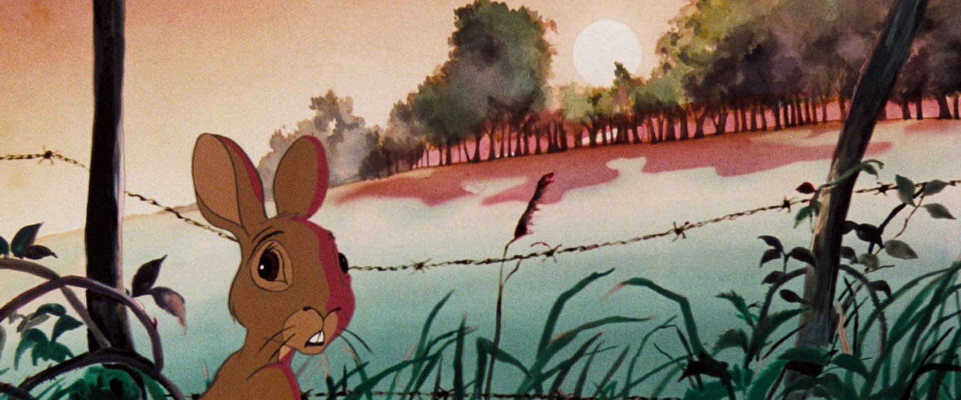 Watership Down backdrop
