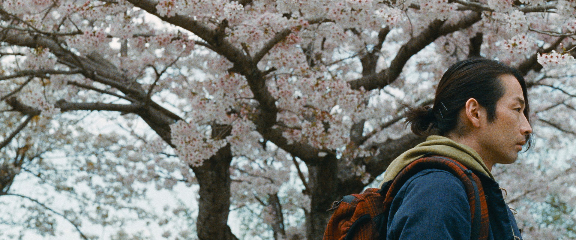 Great Absence backdrop