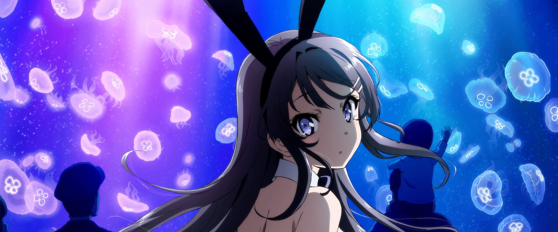Rascal Does Not Dream of Bunny Girl Senpai