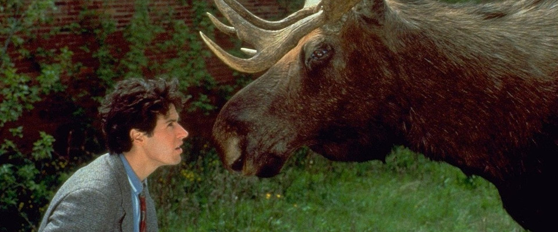 Northern Exposure