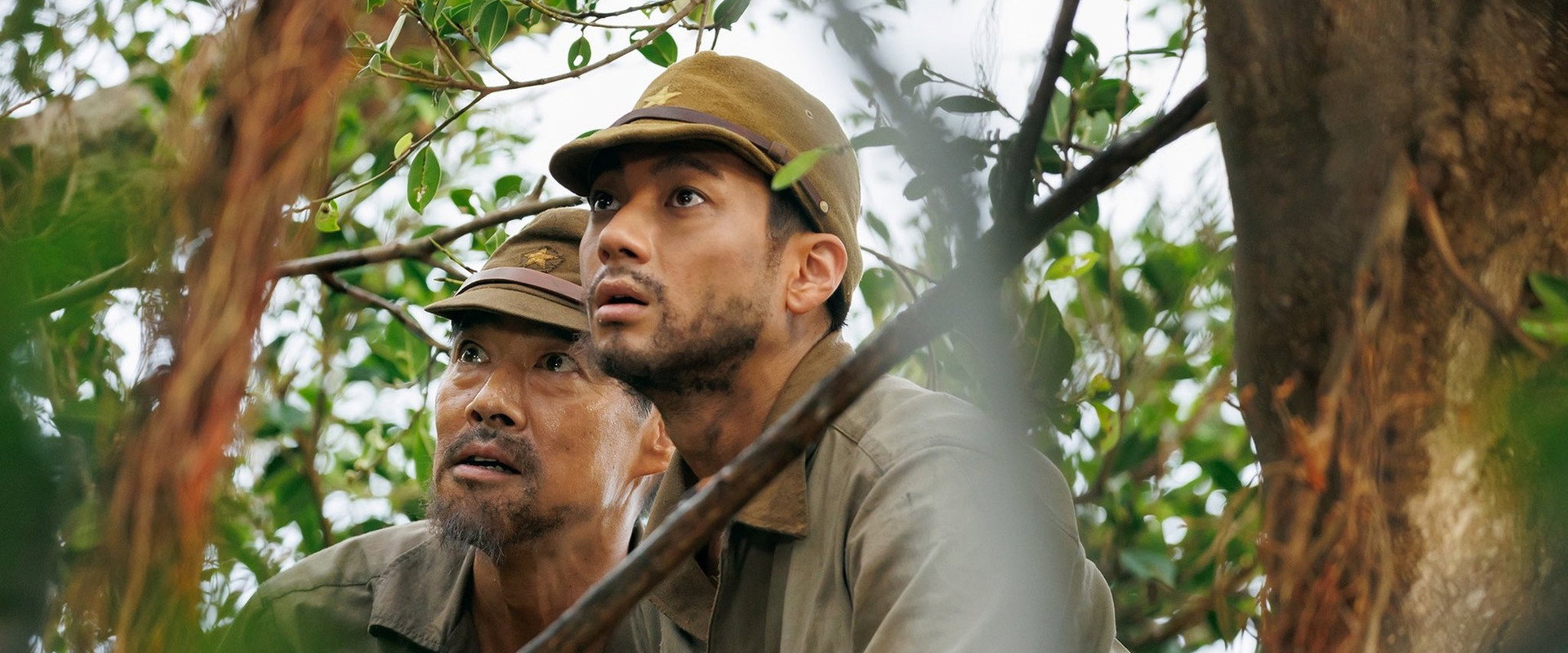 Army on the Tree backdrop
